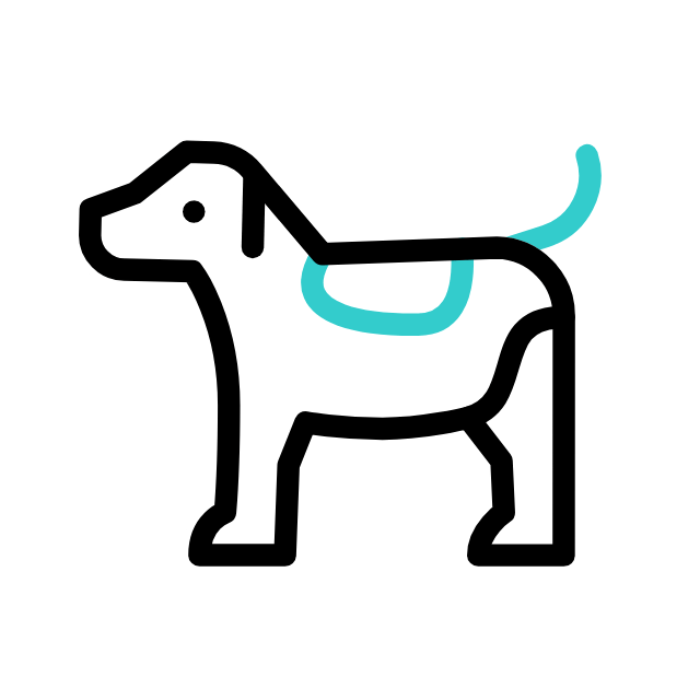 cat-icon